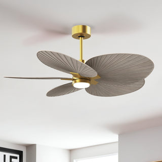 Alessandra Tropical - LK 48" Ceiling Fan in Brushed Brass
