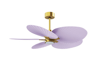 Alessandra Tropical - LK 48" Ceiling Fan in Brushed Brass