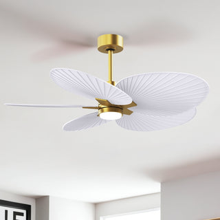 Alessandra Tropical - LK 48" Ceiling Fan in Brushed Brass