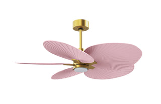 Alessandra Tropical - LK 48" Ceiling Fan in Brushed Brass