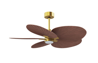 Alessandra Tropical - LK 48" Ceiling Fan in Brushed Brass