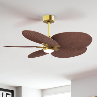 Alessandra Tropical - LK 48" Ceiling Fan in Brushed Brass