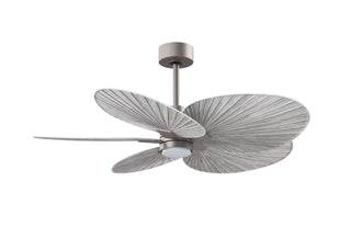 Alessandra Tropical - LK 48" Ceiling Fan in Brushed Nickel