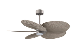 Alessandra Tropical - LK 48" Ceiling Fan in Brushed Nickel