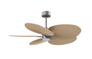 Alessandra Tropical - LK 48" Ceiling Fan in Brushed Nickel