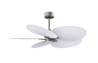 Alessandra Tropical - LK 48" Ceiling Fan in Brushed Nickel