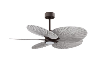Alessandra Tropical - LK 48" Ceiling Fan in Textured Bronze