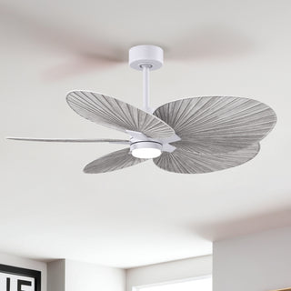Alessandra Tropical - LK 48" Ceiling Fan in Matte White