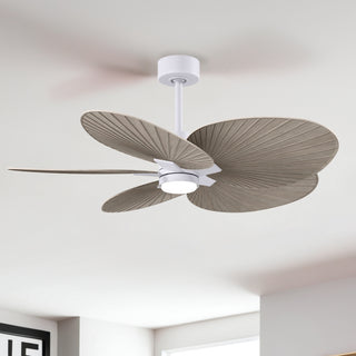 Alessandra Tropical - LK 48" Ceiling Fan in Matte White