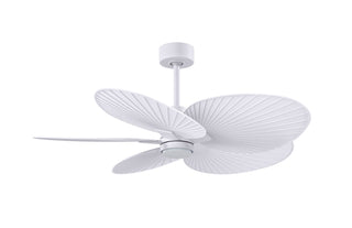 Alessandra Tropical - LK 48" Ceiling Fan in Matte White