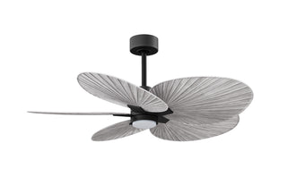 Alessandra Tropical - LK 48" Ceiling Fan in Matte Black