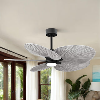 Alessandra Tropical - LK 48" Ceiling Fan in Matte Black