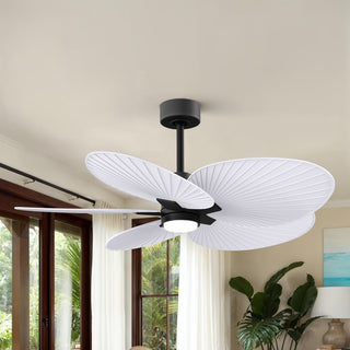 Alessandra Tropical - LK 48" Ceiling Fan in Matte Black