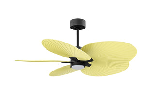 Alessandra Tropical - LK 48" Ceiling Fan in Matte Black
