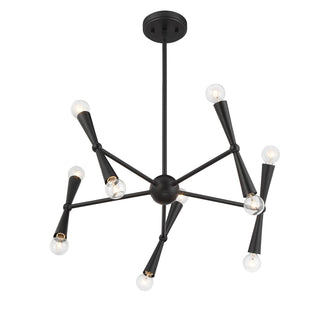 Ten Light Chandelier in Matte Black