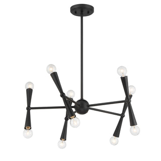 Ten Light Chandelier in Matte Black