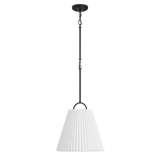 One Light Pendant in Matte Black