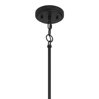 One Light Pendant in Matte Black