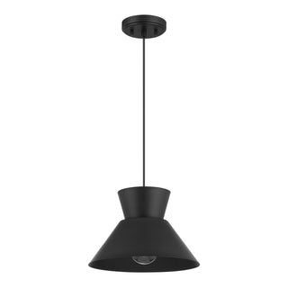 One Light Pendant in Matte Black