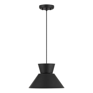 One Light Pendant in Matte Black