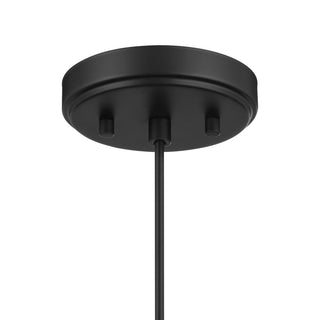 One Light Pendant in Matte Black