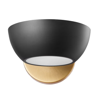 One Light Wall Sconce in Matte Black and Natural Brass