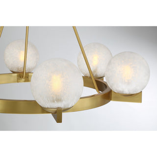Darien Six Light Chandelier in Warm Brass