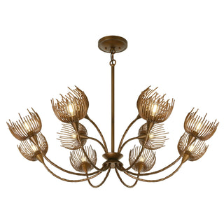Protea 12 Light Chandelier in Manchester