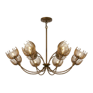 Protea 12 Light Chandelier in Manchester