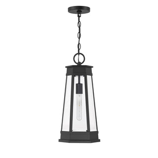 Payne One Light Outdoor Hanging Lantern in Matte Black