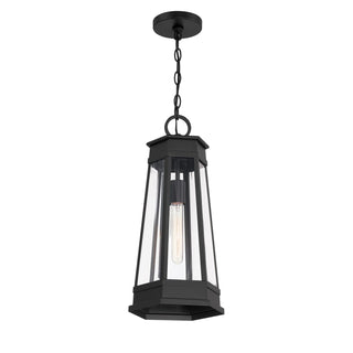 Payne One Light Outdoor Hanging Lantern in Matte Black