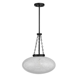 Willow One Light Pendant in Matte Black