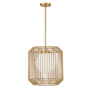 Pastis One Light Pendant in Warm Brass
