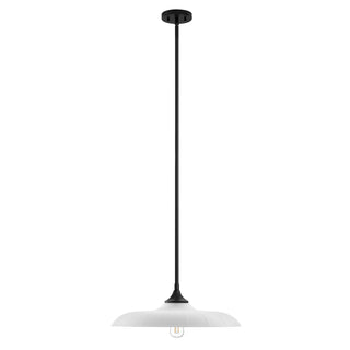 Hadley One Light Pendant in Matte Black