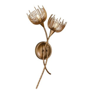 Protea Two Light Wall Sconce in Manchester