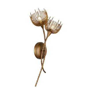 Protea Two Light Wall Sconce in Manchester