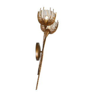 Protea Two Light Wall Sconce in Manchester