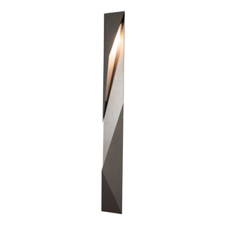 Carbon Carbon Large Outdoor Sconce in Coastal Burnished Steel