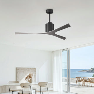 Molly Ceiling Fan in Matte Black