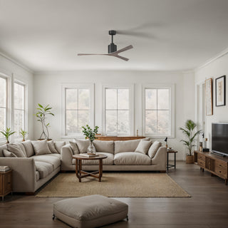 Molly Ceiling Fan in Matte Black