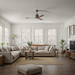 Molly Ceiling Fan in Matte Black