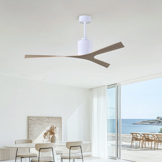 Molly Ceiling Fan in Gloss White