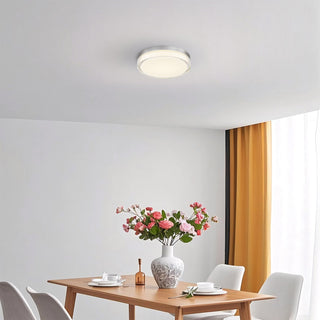 Sunspot LED Flush Mount in Brushed Stainless Steel