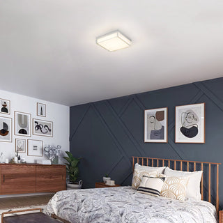 Box LED Flush Mount in Brushed Stainless Steel