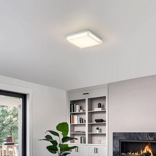 Box LED Flush Mount in Brushed Stainless Steel