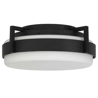 Ted LED Flush Mount in Sand Black