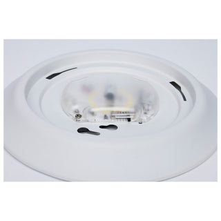 LED Disk Light in White