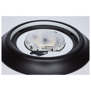 LED Disk Light in Bronze