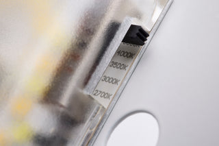 LED Disk Light in White
