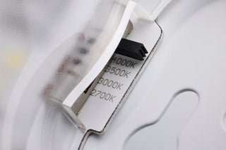LED Disk Light in White